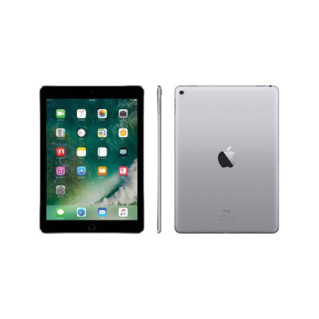Apple iPad Pro 9.7-inch 2016 Space Gray Wi-Fi + Cellular