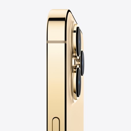 Apple iPhone 13 Pro Max - Gold