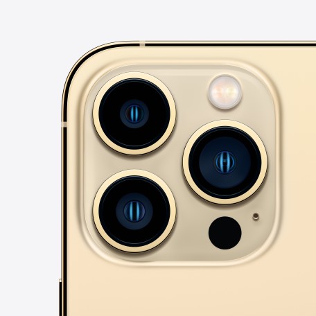 Apple iPhone 13 Pro Max - Gold